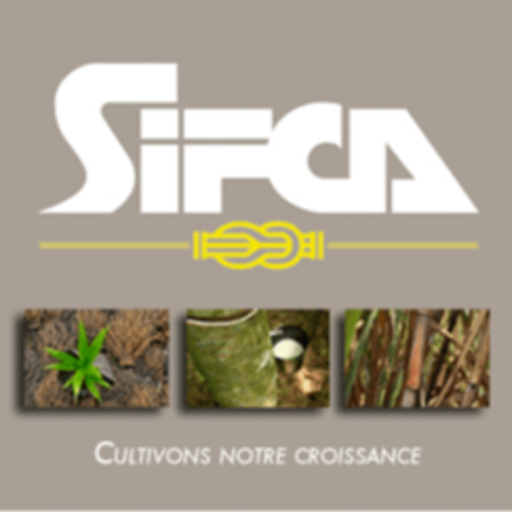 Groupe SIFCA