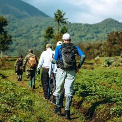 Trail Trek Africa